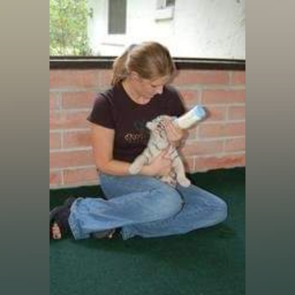 LIVE NOW ! - Picture 14 of 17